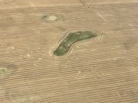 Fussabdruck eines Sasquatch ?