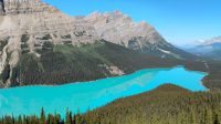 Peyto Lake