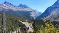 Icefield Parkway 