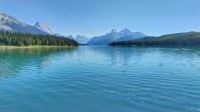 Maligne Lake 