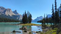 Maligne Lake mit Spirit Island 