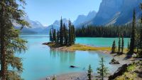 Maligne Lake mit Spirit Island 