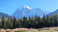Mount Robson 