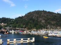 313 Horse Shoe Bay