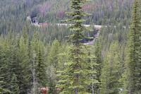 die Spiraltunnel im Yoho-Nationalpark