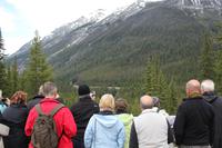 die ganzen verrückten Fotojäger :)