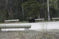 auf den Parkplatz...
