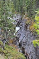 weiter gehts zum Maligne Canyon