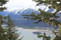 Blick vom Mount Robert's