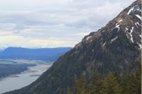 Blick vom Mount Robert's