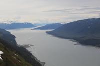 Blick vom Mount Robert's