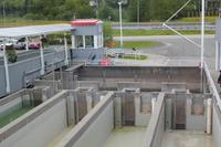 Lachsaufzuchtstation in Juneau