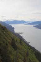 Blick vom Mount Robert's