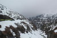 Kanadadisch-US-amerikanische Grenze