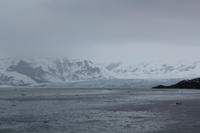 letzter Tag auf See: auf zum Hubbard-Gletscher