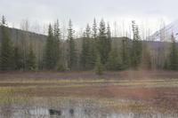 von Seward nach Anchorage