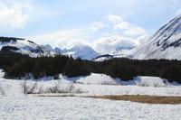 traumhafte Strecke von Seward nach Anchorage