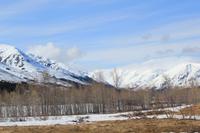 traumhafte Strecke von Seward nach Anchorage
