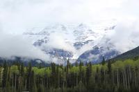 der 3995 Meter hohe Mount Robson