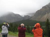 Stopp am Columbia Icefield