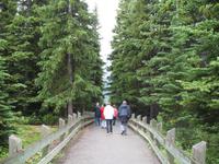 Bow Summit - Lac Peyto