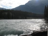 Athabasca-Wasserfälle