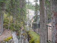 Maligne Canyon