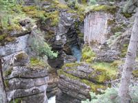 Maligne Canyon
