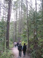 Auf dem Weg zu den Overlander-Wasserfällen