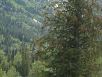 Bahnfahrt über den White-Pass in Skagway