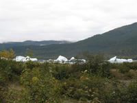 Am Mendenhall Gletscher