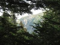 Wandern in den Bergen von Juneau