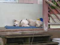 Icy Strait Point - Hoonah