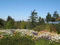 Vancouver - Queen Elisabeth Park
