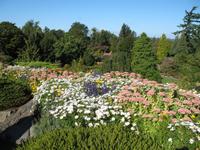 Vancouver - Queen Elisabeth Park