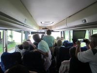 Tier am Straßenrand