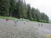 Waldbahnfahrt Icy Straitpoint