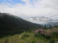 Fahrt mit dem White Pass Zug