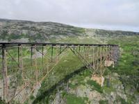 Alte Brücke am White Pass