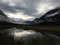 497 Natur Pur