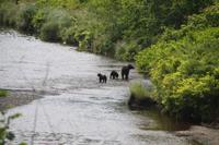 fix, fix, in Deckung