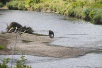 Na, dann kannŽs ja losgehen!