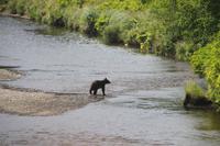 Will doch mal sehen,