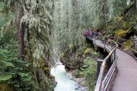 Johnston Canyon