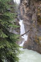 Johnston Canyon