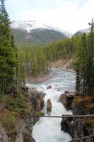 Sunwapta Falls