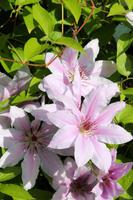 Auf der South Thompson Inn & Guest Ranch in Kamloops