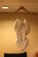 Ein Äffchen hing in meiner Kabine!