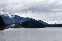 Wal in Icy Strait Point