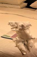 Ein Elch saß in meiner Kabine!